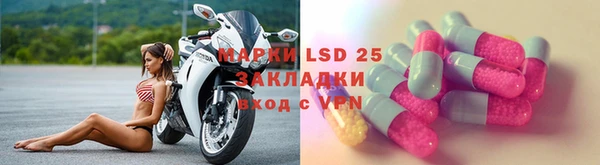 стаф Абинск