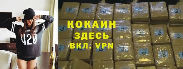 стаф Абинск