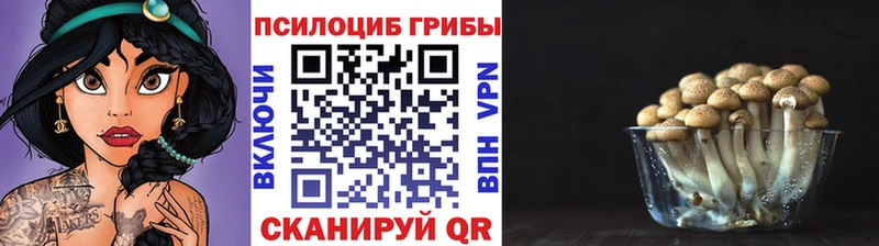 MEGA зеркало  дарнет шоп  Ялта  Галлюциногенные грибы Cubensis 